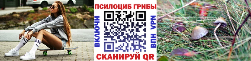 продажа наркотиков  Клин  Галлюциногенные грибы мухоморы 
